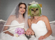Illustration for article titled Izzy & Katmelon Renew Vows